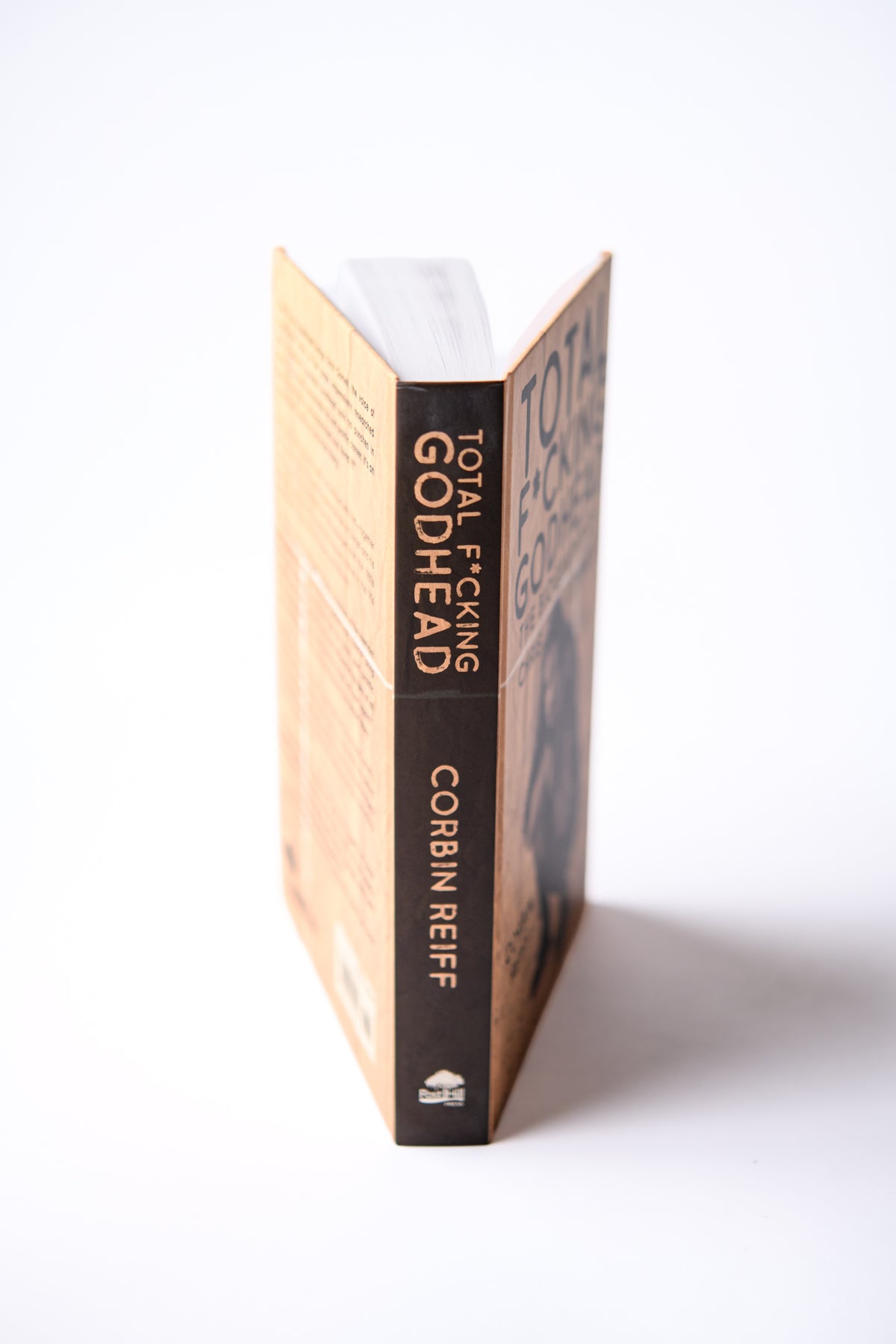 Total F*ing Godhead Book